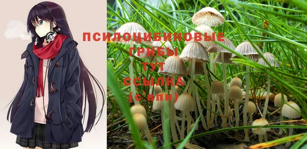 синтетический гашиш Липки
