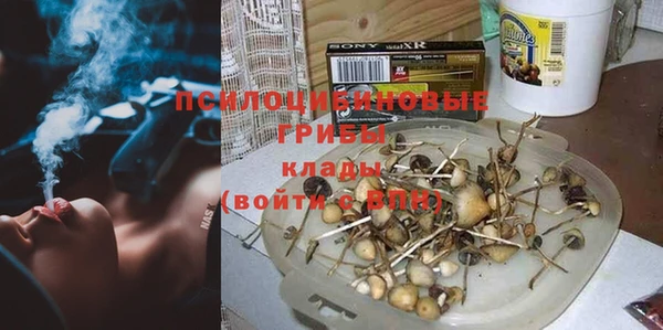 не бодяженный Лабытнанги