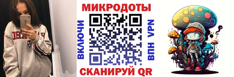 Галлюциногенные грибы Psilocybe  Завитинск 